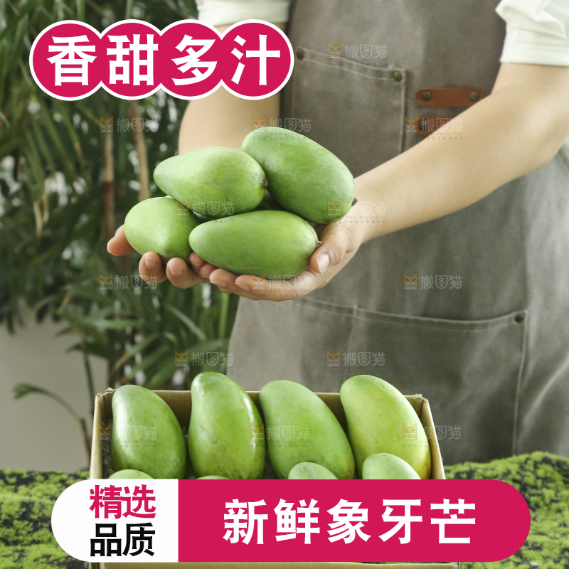 手里拿着象牙芒