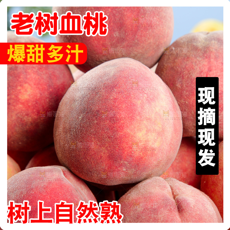 木底上的血桃