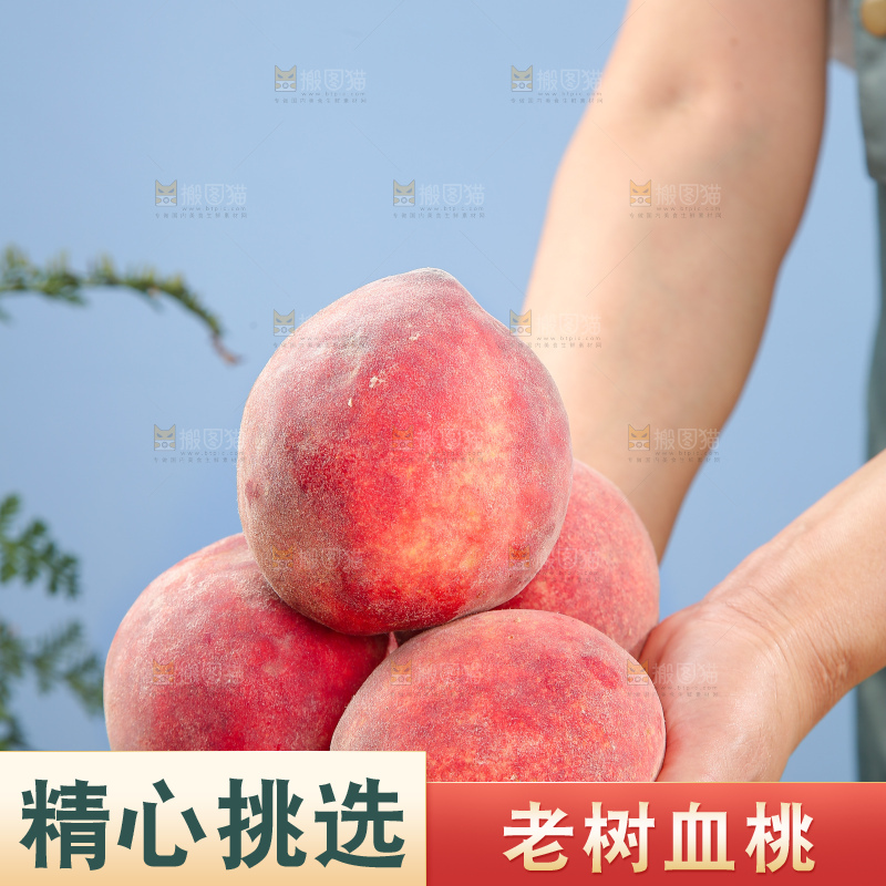 手里拿着血桃