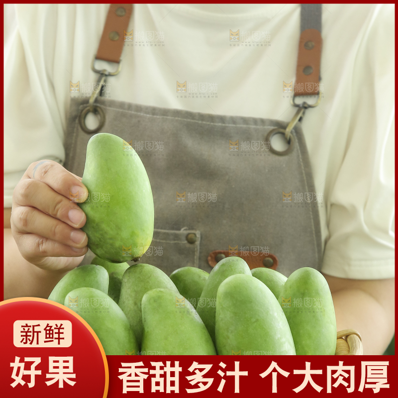 手里拿着象牙芒