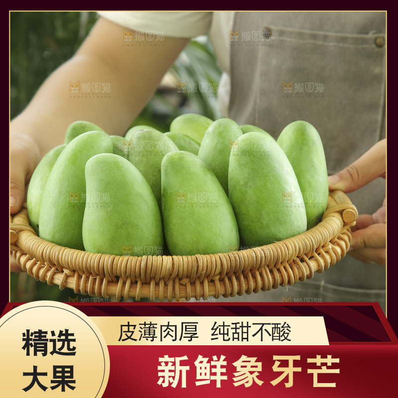 手里拿着象牙芒