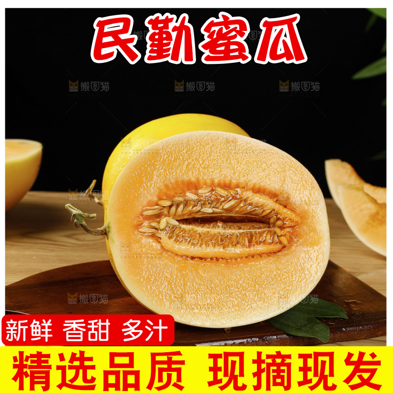 木底上的黄河蜜瓜