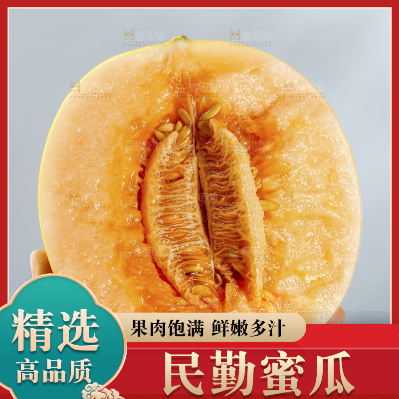 浅底上的民勤蜜瓜
