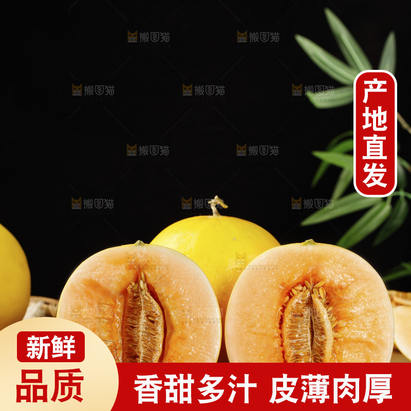 木底上的黄河蜜瓜