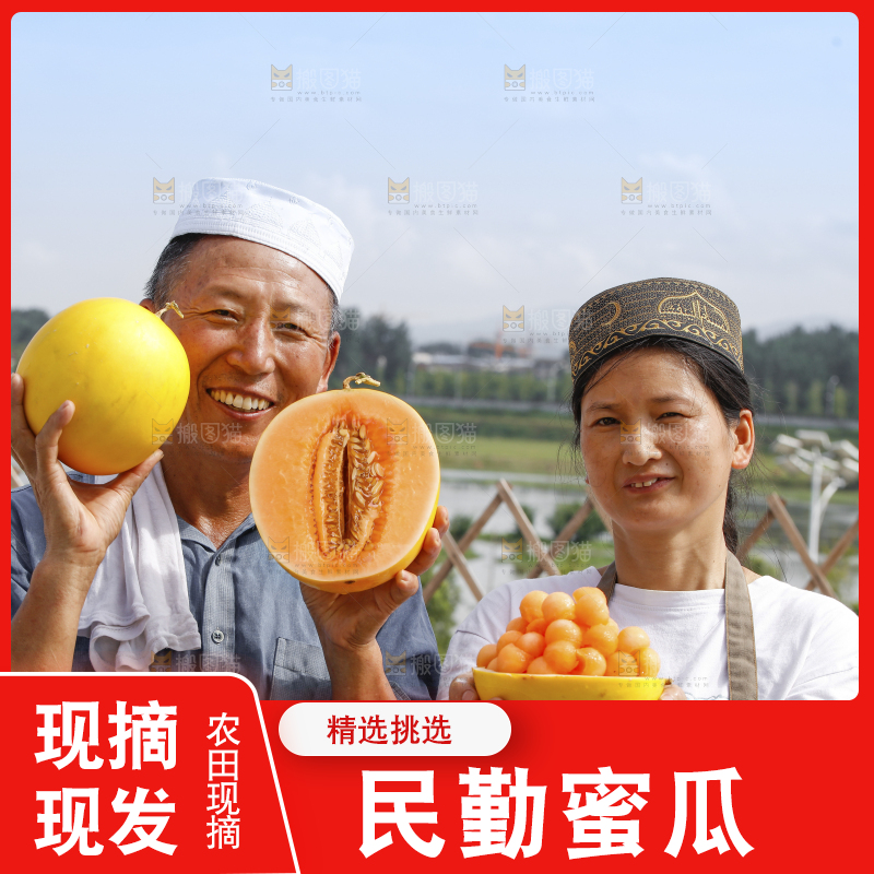 手里拿着民勤蜜瓜