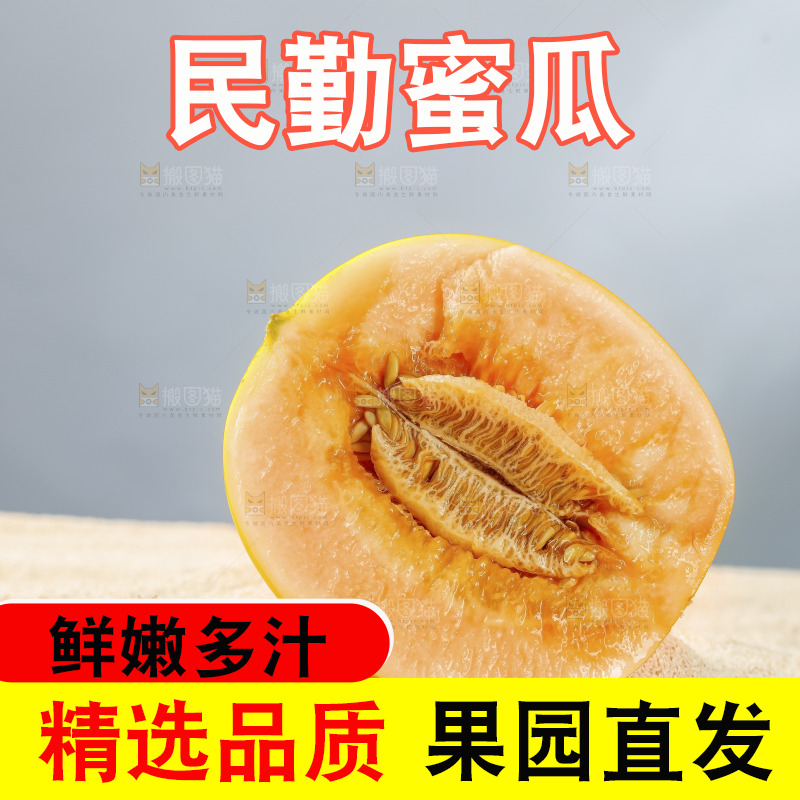 浅底上的民勤蜜瓜
