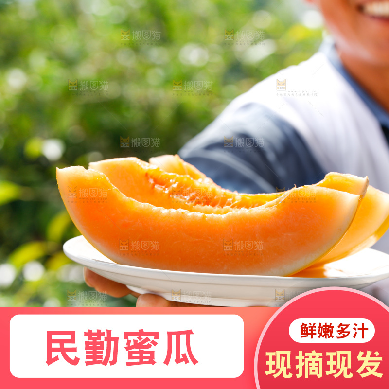 手里拿着民勤蜜瓜