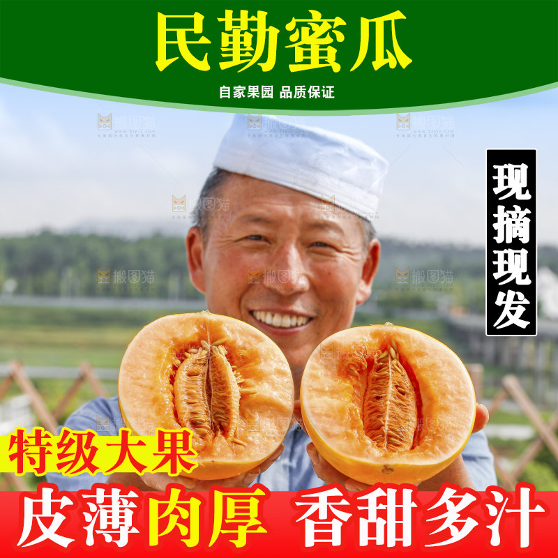 手里拿着民勤蜜瓜
