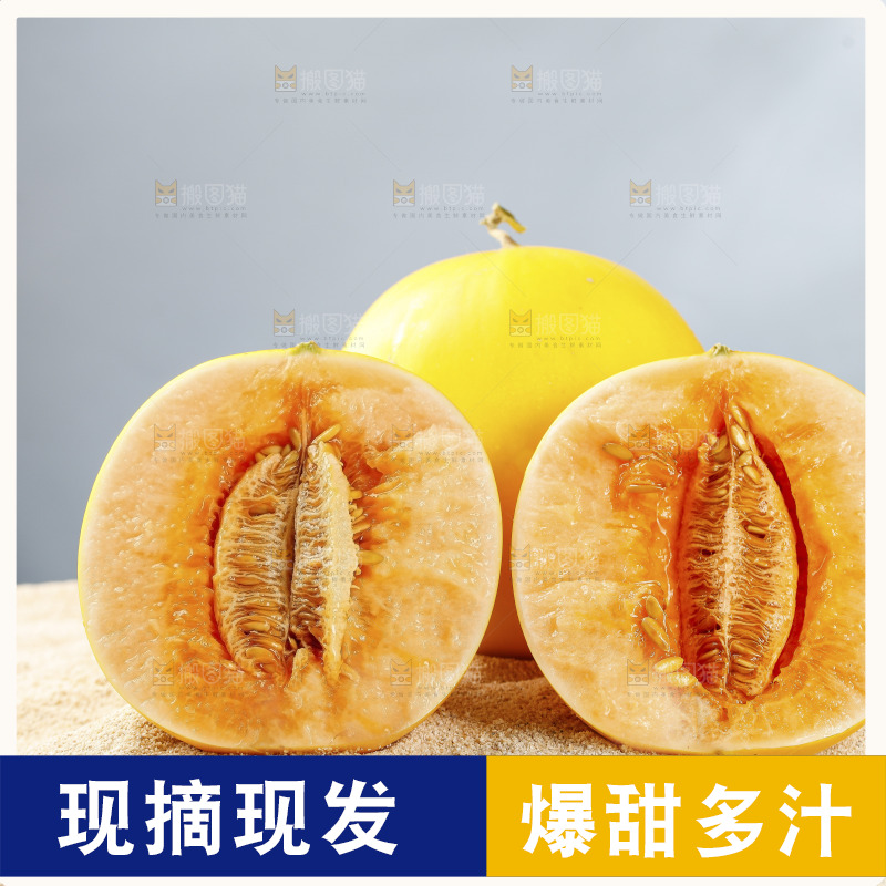 浅底上的民勤蜜瓜