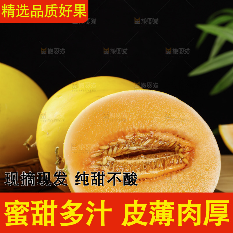 木底上的黄河蜜瓜