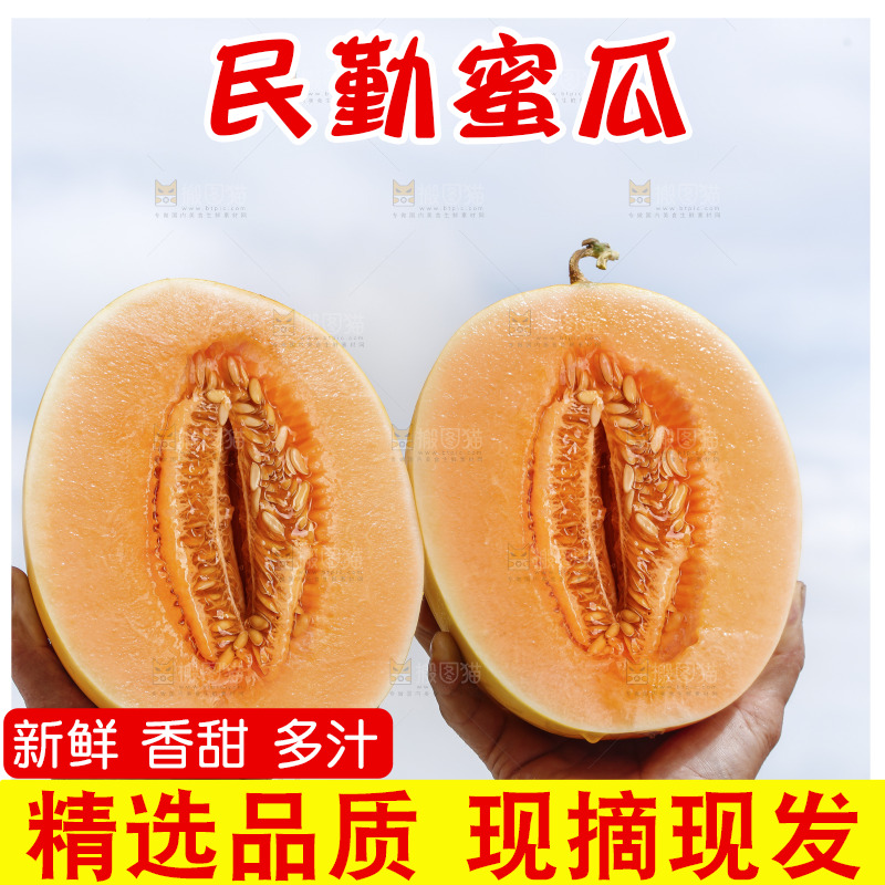 手里拿着黄河蜜瓜