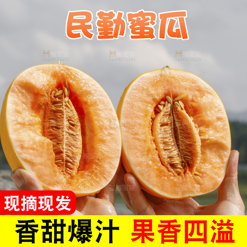 手里拿着民勤蜜瓜