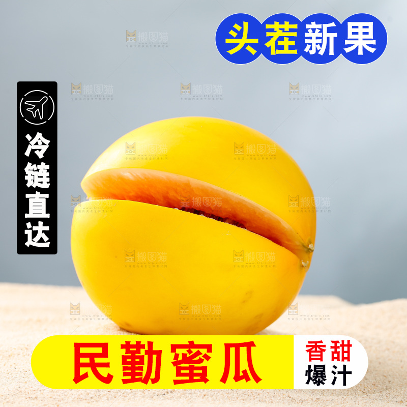 浅底上的民勤蜜瓜