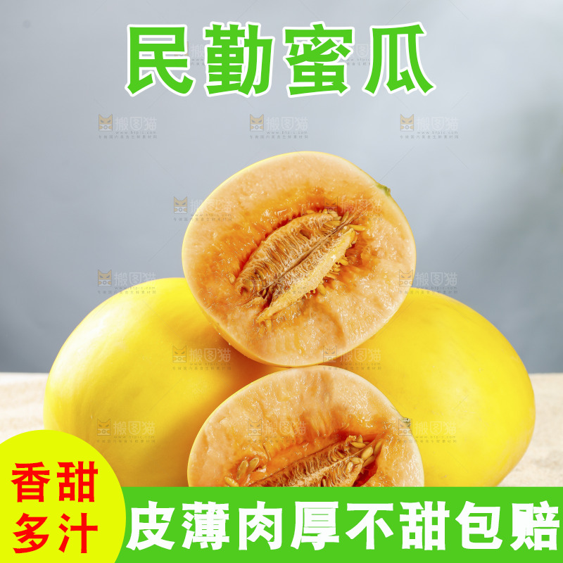 浅底上的民勤蜜瓜