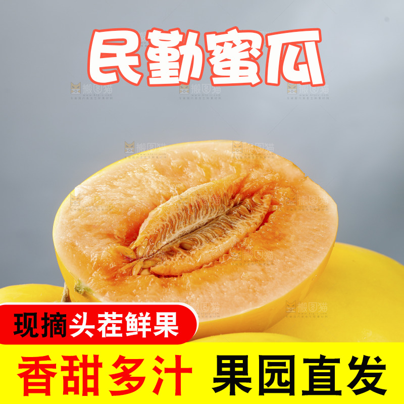 浅底上的民勤蜜瓜