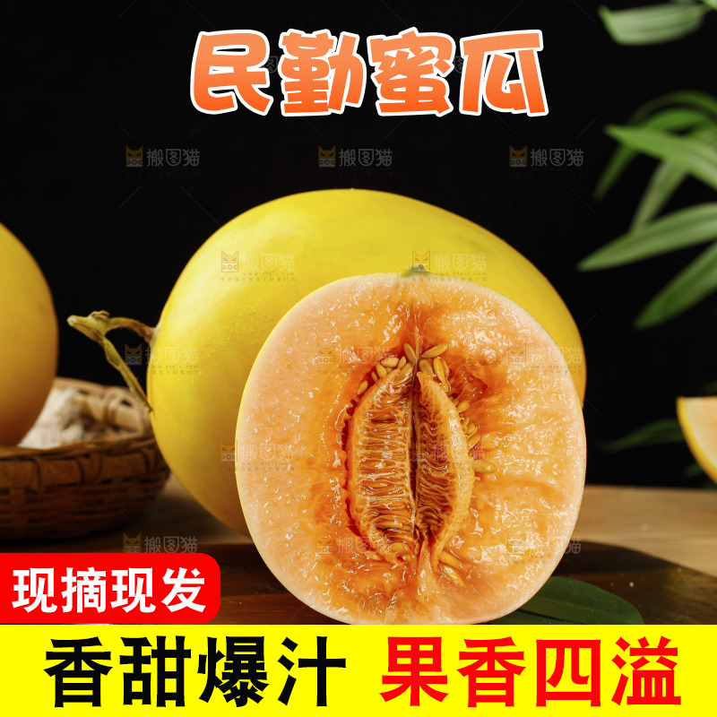 木底上的黄河蜜瓜