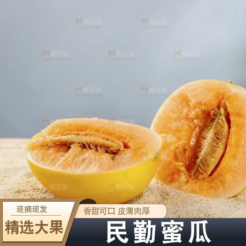 浅底上的民勤蜜瓜