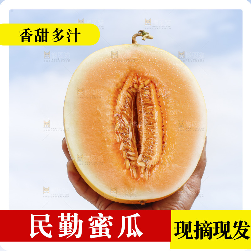 手里拿着黄河蜜瓜