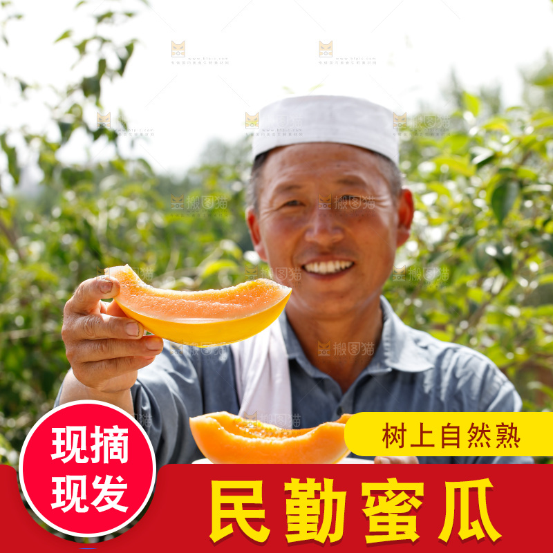 手里拿着民勤蜜瓜
