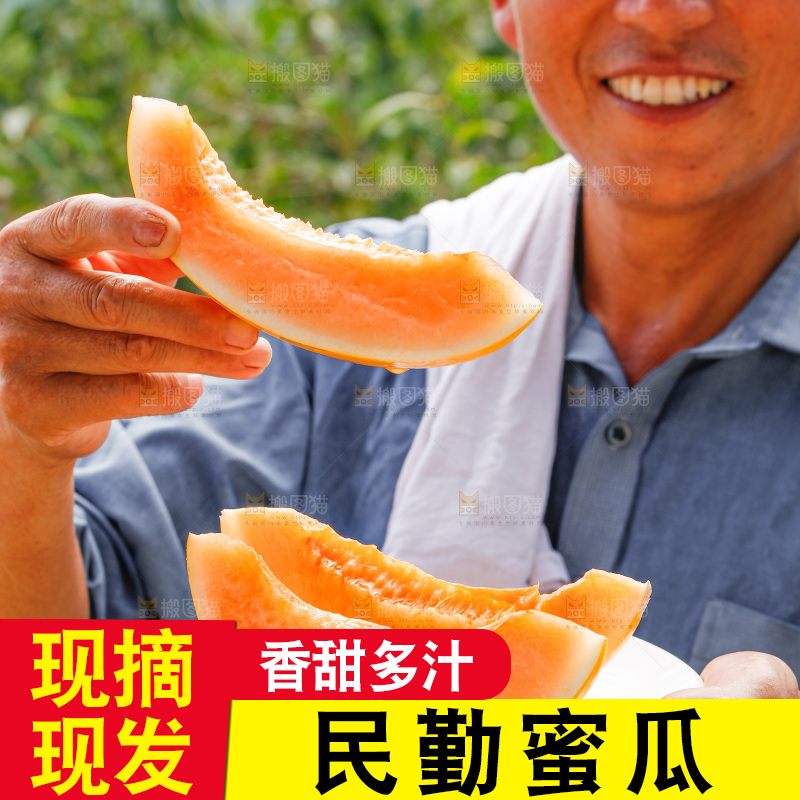 手里拿着民勤蜜瓜