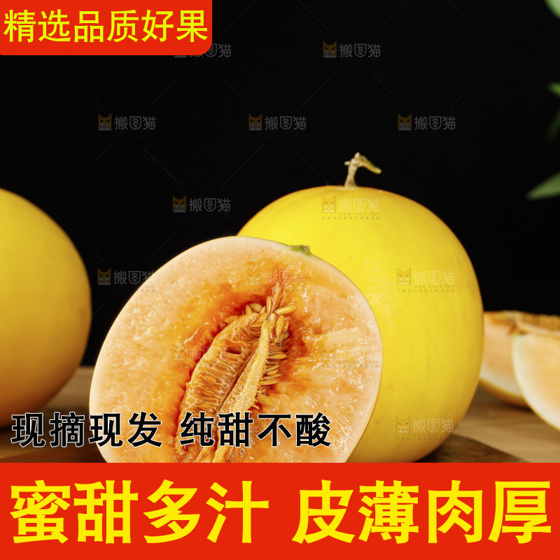 木底上的黄河蜜瓜
