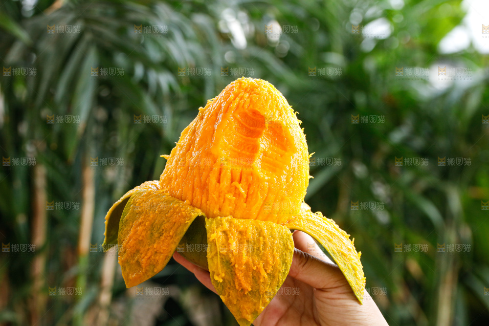 手里拿着凯特芒