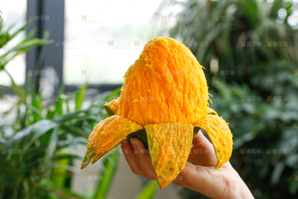 手里拿着凯特芒