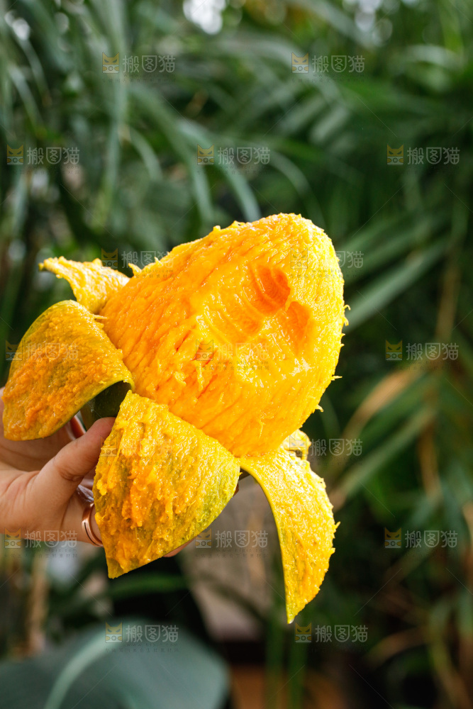 手里拿着凯特芒
