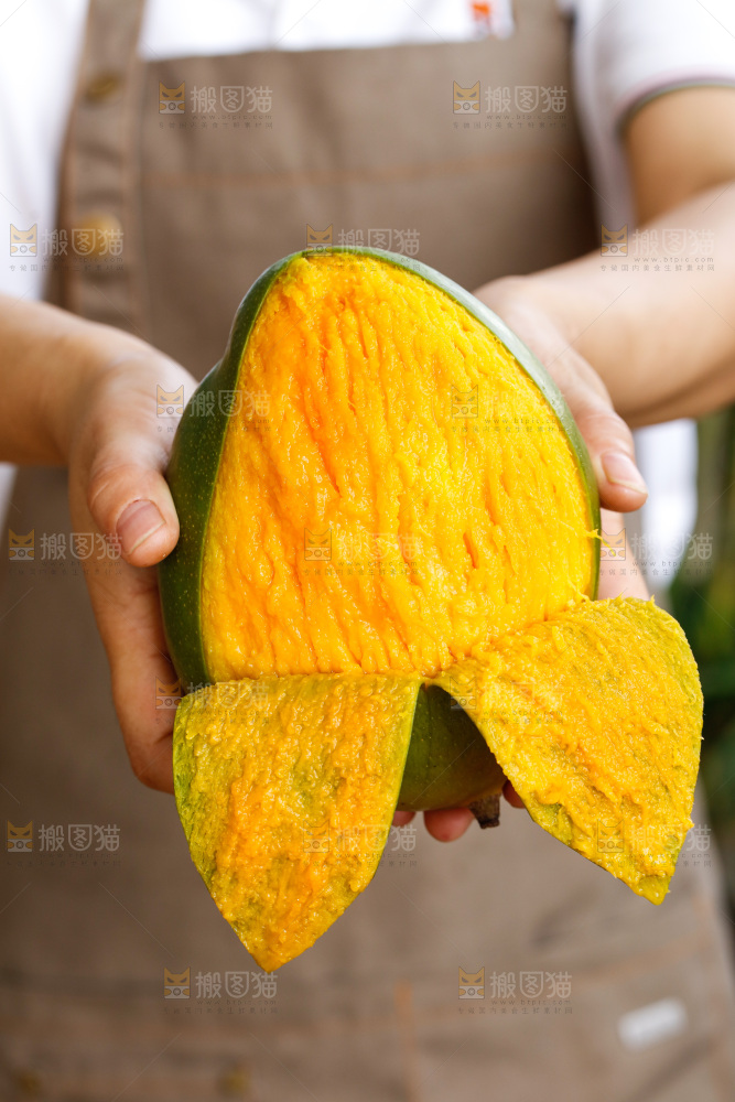 手里拿着凯特芒