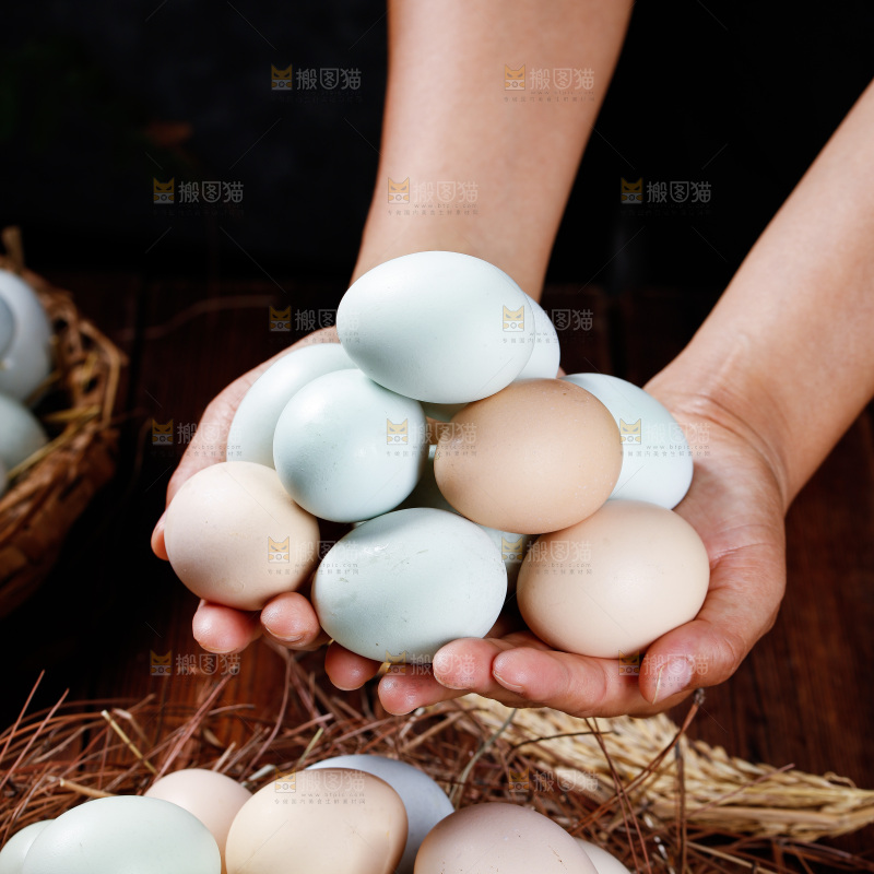 木底上的绿壳鸡蛋