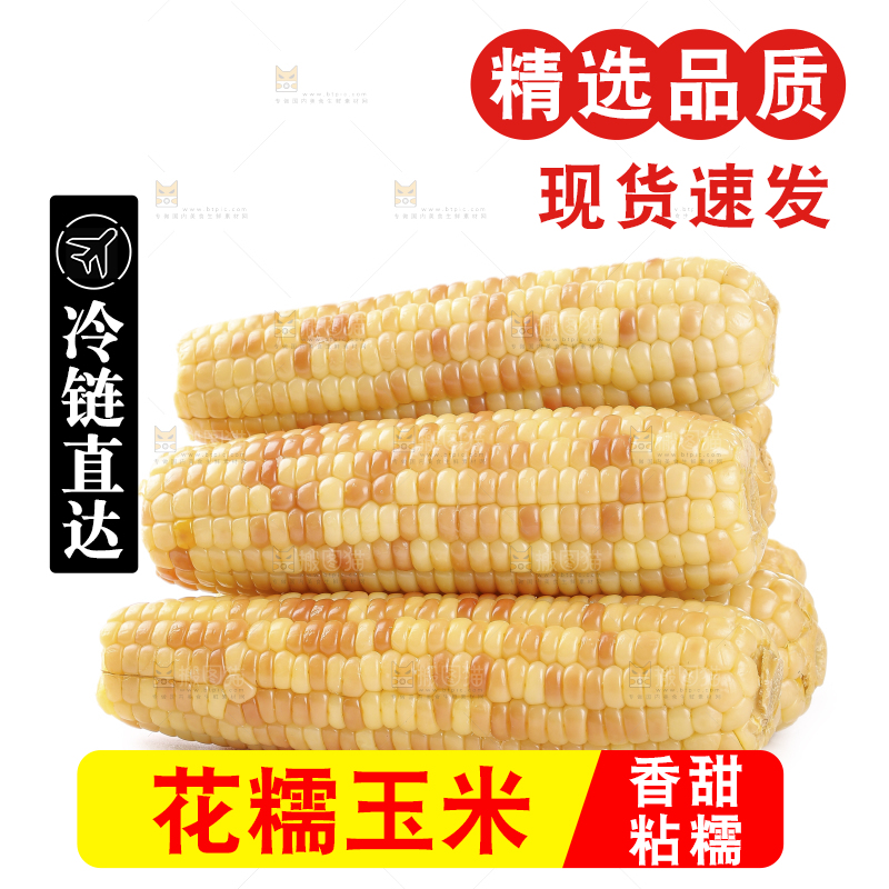 白底上的花糯玉米