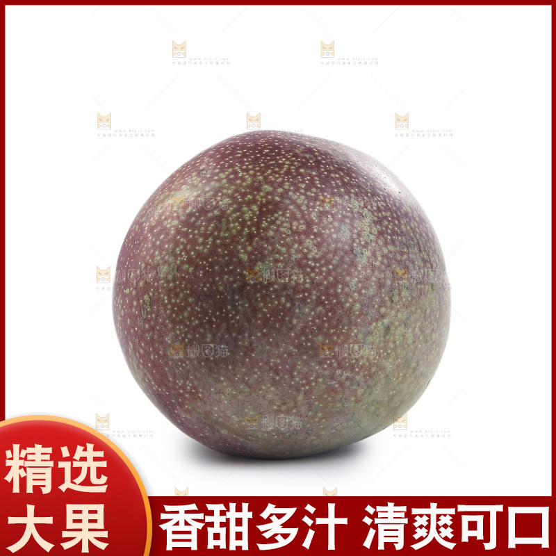 白底上的恐龙蛋李