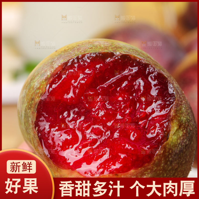 木底上的恐龙蛋