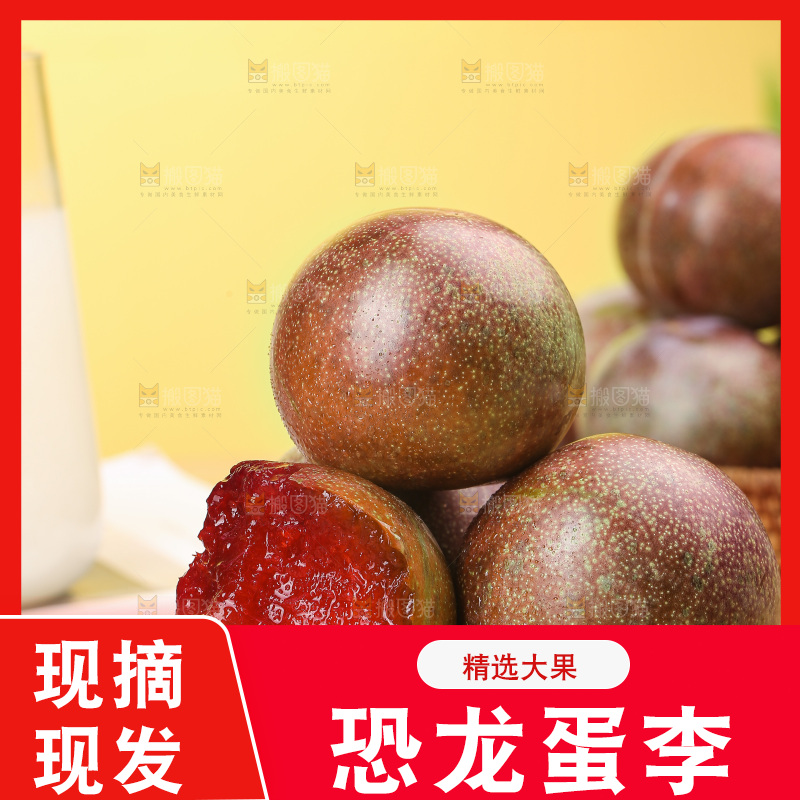 木底上的恐龙蛋