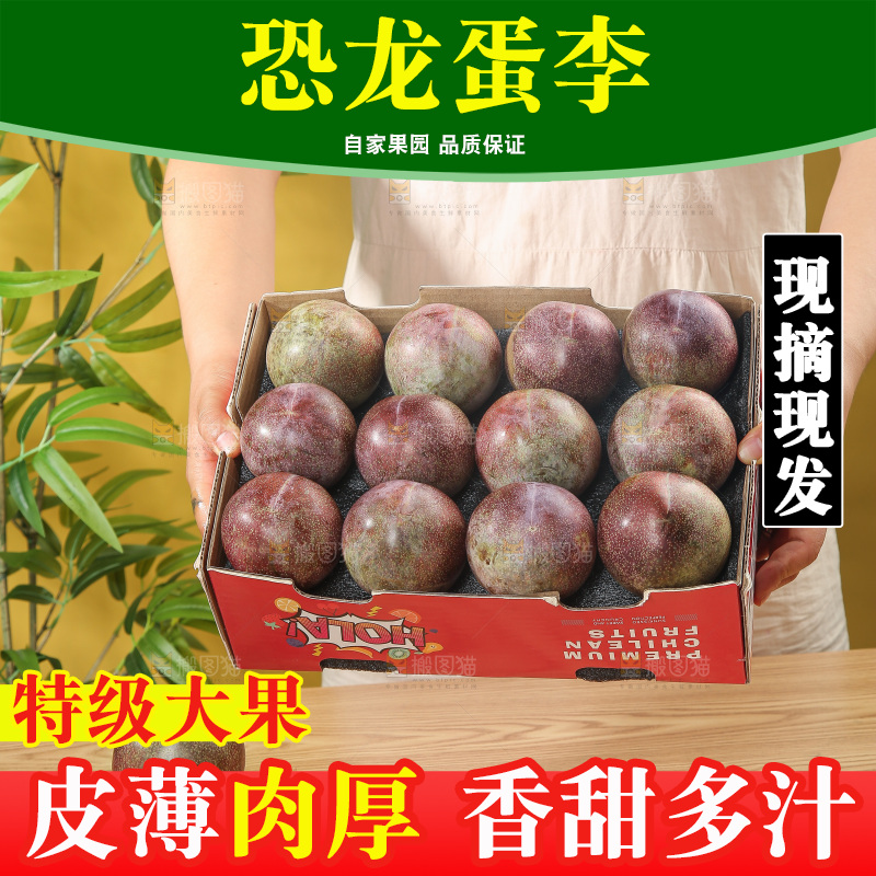 木底上的恐龙蛋