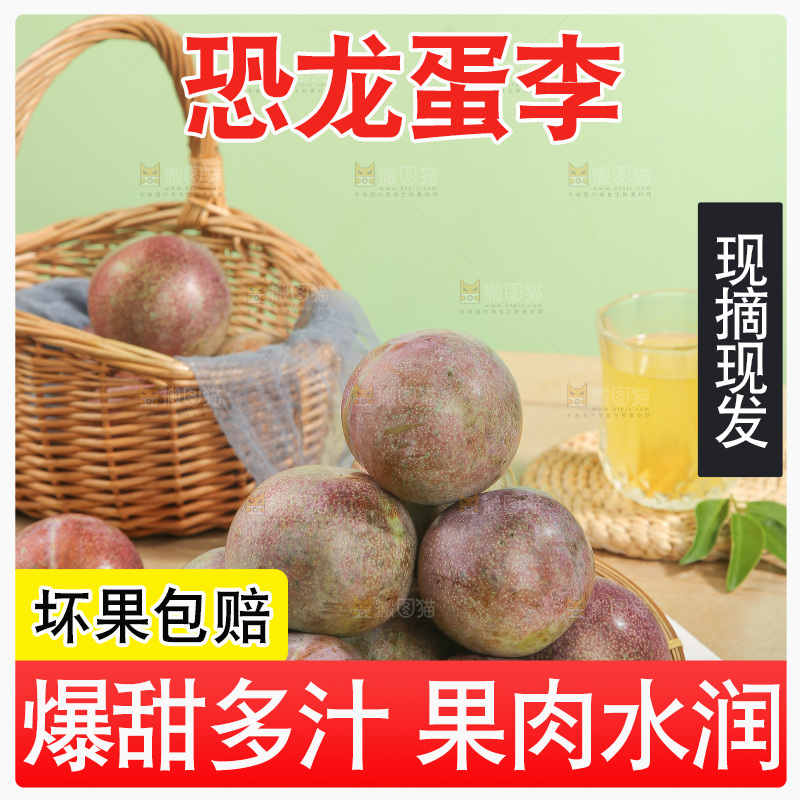 木底上的恐龙蛋