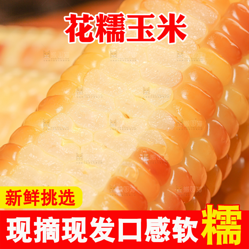 木底上的花糯玉米