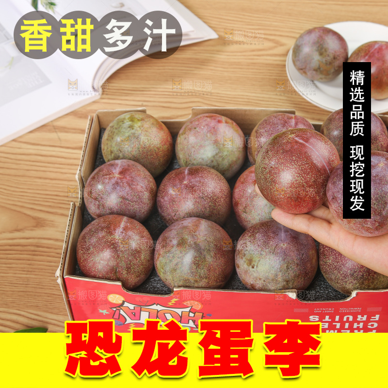 木底上的恐龙蛋