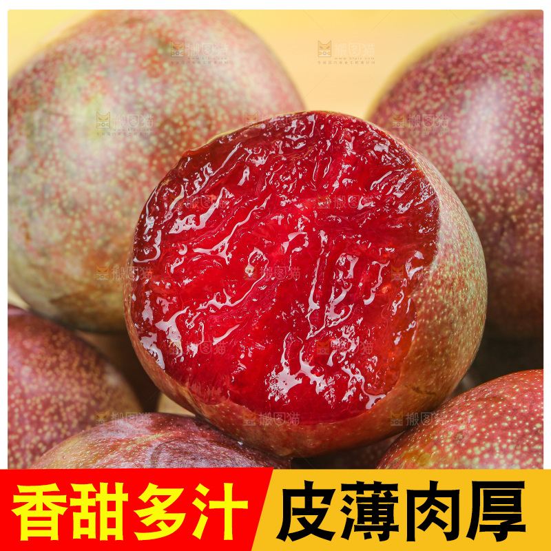 木底上的恐龙蛋