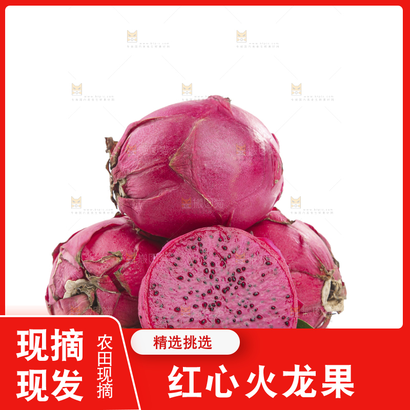 白底上的金都一号火龙果