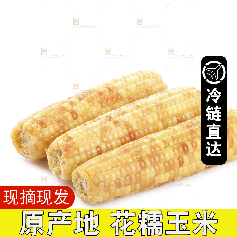白底上的花糯玉米