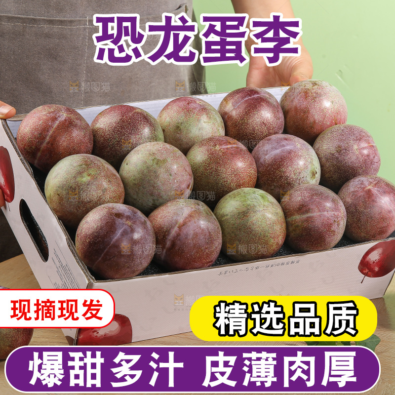木底上的恐龙蛋