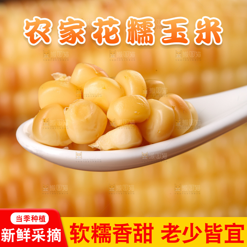 木底上的花糯玉米