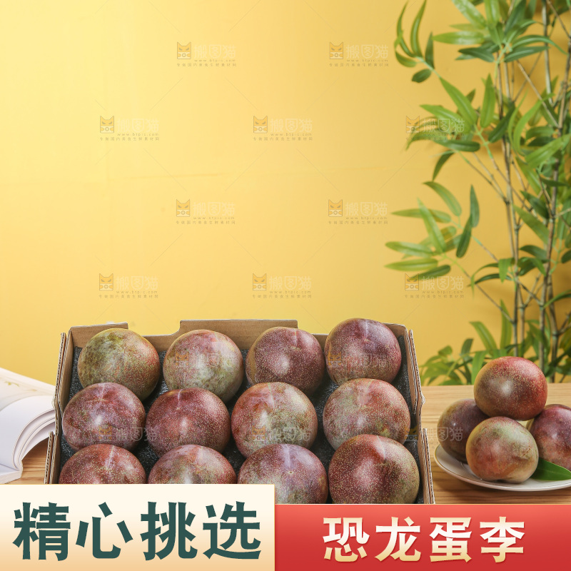 木底上的恐龙蛋
