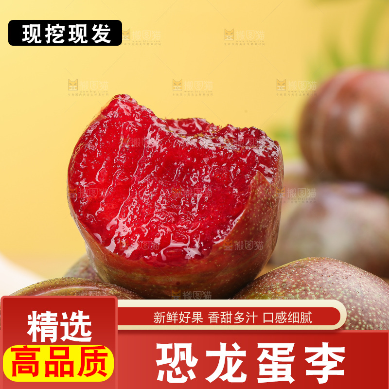 木底上的恐龙蛋