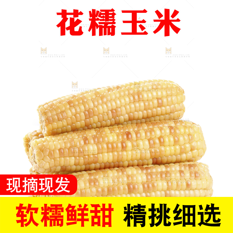 白底上的花糯玉米
