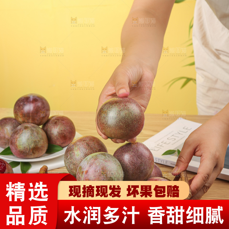 木底上的恐龙蛋