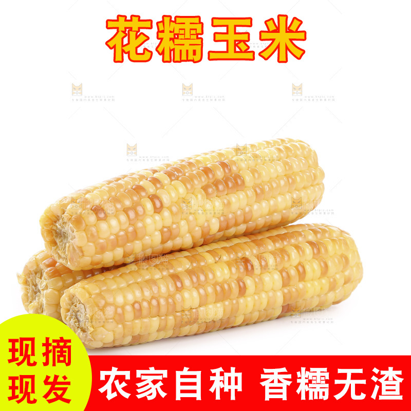 白底上的花糯玉米