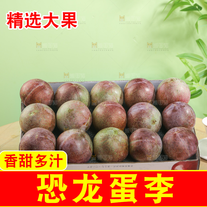 木底上的恐龙蛋