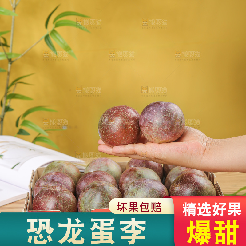 木底上的恐龙蛋